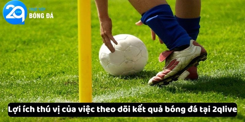 Lợi ích thú vị của việc theo dõi kết quả bóng đá tại 2qlive